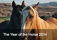 Year of the Horse - 2014